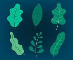 Green Leaves Clipart Set  vector