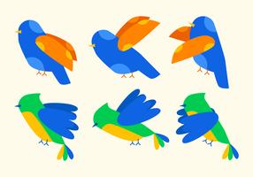 Vector único de aves conjunto de vectores