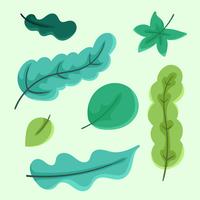 green leaves clipart set vector