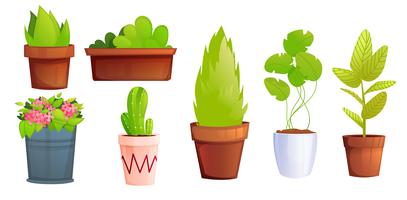 Potted plants with pink flowers and cactus vector