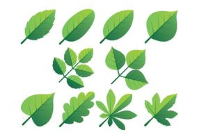 Green Leaves Clipart Set vector