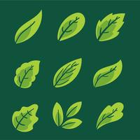Green Leaves Collection Vector Set