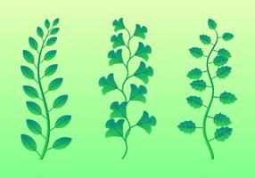 Green Leaves Clipart Set Vector