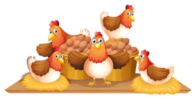 Chickens and eggs in basket vector