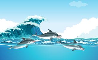 Dolphins swimming under the ocean vector