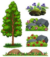 Un conjunto de elementos del bosque vector
