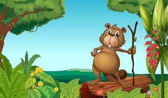 A beaver in the woods vector