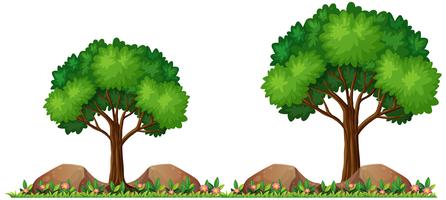 Naturaleza aislada para la decoración. vector