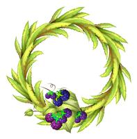 The violet berries at the bottom of a leafy round border vector