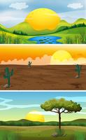 Three background scenes at sunset vector