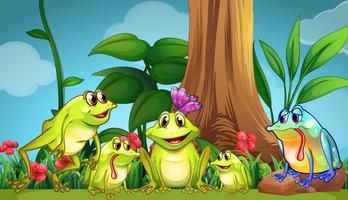 Frogs sitting on the grass vector