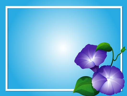 Blue background template with morning glory flowers