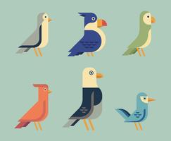 Conjunto de imágenes de aves vector