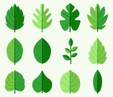 Green Leaves Vector