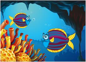 Two colorful fishes inside the cave under the sea vector