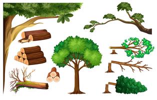 A Set of Cutting Tree vector