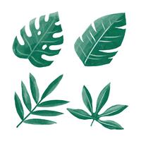  Water Color Tropical Green Leaves Clipart Set Vector