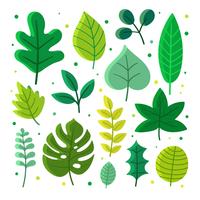 Vector conjunto de hojas verdes