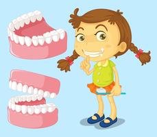 Little girl with clean teeth vector