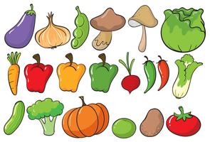 Vegetables vector