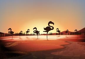 Escena de silueta con flamencos de pie en el lago vector