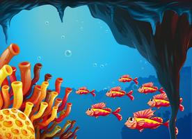 A school of fishes going to the coral reefs inside the cave vector