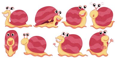 A group of snails vector