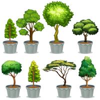 Potted plants vector