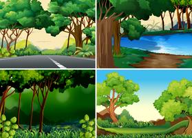 Forests vector