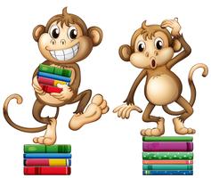 Monkeys vector