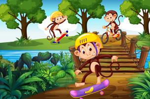 Monkey and extreme sport in the park vector