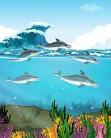Delfines nadando bajo el mar vector