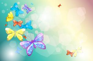 Colorful butterflies in a special paper vector