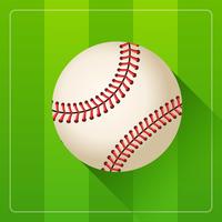 Baseball Ball Realistic Vector