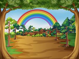 A Beautiful Forest Landscape vector