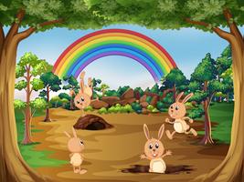 Cute rabbits in nature vector