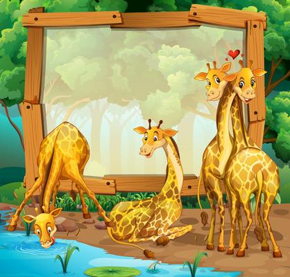 Frame design with giraffes in the jungle