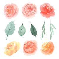 Watercolor florals hand painted with text banner, lush flowers aquarelle isolated  vector
