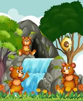 Bears relaxing by the waterfall vector