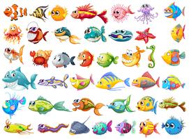 Colección de peces vector