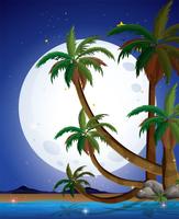 A beach with a bright fullmoon vector