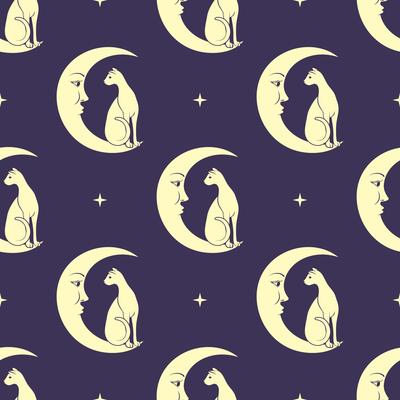 Cat sitting on moon pattern background