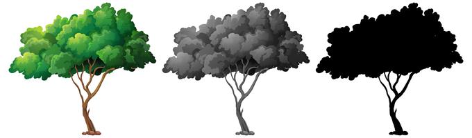 Set of tree design vector