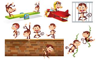 A set of playful monkey vector