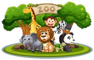 Cute animals in the zoo vector
