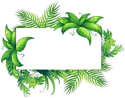 Border template with green leaves vector