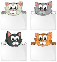 Cute cats with blank papers vector