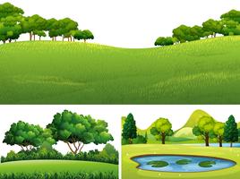 Tres escenas con césped verde y estanque. vector