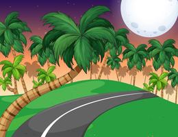 Scene with palm forest at night vector