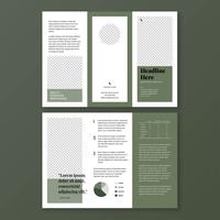 Minimalist Olive Green Brochure Template vector